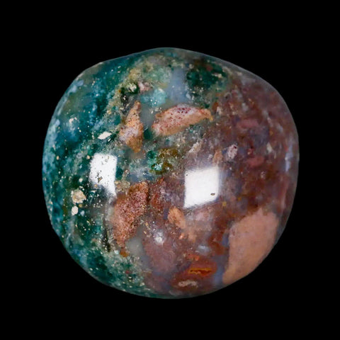 1.6" Natural Polished Ocean Jasper Crystal Palm Stone Location Madagascar Healing - Fossil Age Minerals