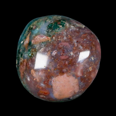 1.6" Natural Polished Ocean Jasper Crystal Palm Stone Location Madagascar Healing - Fossil Age Minerals