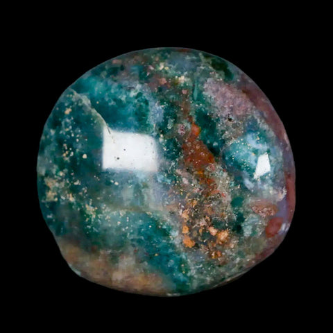 1.6" Natural Polished Ocean Jasper Crystal Palm Stone Location Madagascar Healing - Fossil Age Minerals