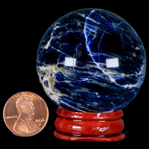 46MM Natural Blue Polished Sodalite Crystal Sphere Ball Orb Mineral Reiki Stand - Fossil Age Minerals