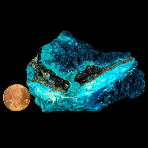 3.2" Chrysocolla Malachite Rare Botryoidal Grape Crystal Teal And Green From Peru - Fossil Age Minerals