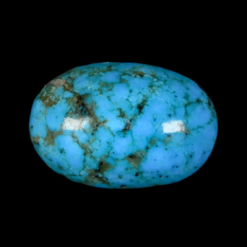 1.3" Natural Polished Teal Turquoise Gemstone Mineral Specimen Cab - Fossil Age Minerals