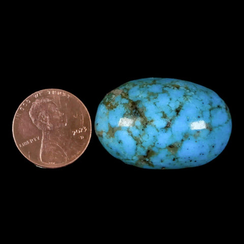 1.3" Natural Polished Teal Turquoise Gemstone Mineral Specimen Cab - Fossil Age Minerals