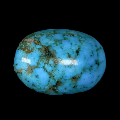 1.3" Natural Polished Teal Turquoise Gemstone Mineral Specimen Cab - Fossil Age Minerals