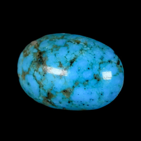 1.3" Natural Polished Teal Turquoise Gemstone Mineral Specimen Cab - Fossil Age Minerals