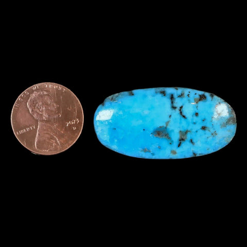 1.4" Natural Polished Teal Turquoise Gemstone Mineral Specimen Cab - Fossil Age Minerals