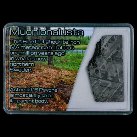 1.6" Muonionalusta Meteorite Specimen Sweden Meteorites Display 11.71 Grams - Fossil Age Minerals