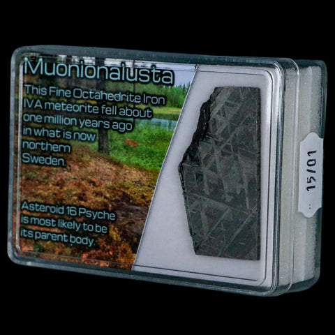 1.6" Muonionalusta Meteorite Specimen Sweden Meteorites Display 11.71 Grams - Fossil Age Minerals