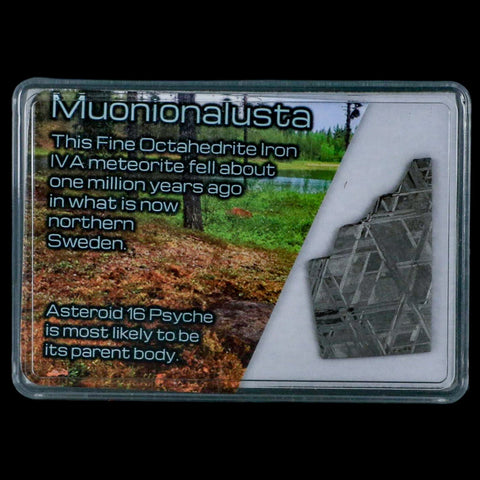 1.4" Muonionalusta Meteorite Specimen Sweden Meteorites Display 8.74 Grams - Fossil Age Minerals