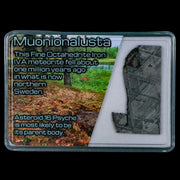 1.7" Muonionalusta Meteorite Specimen Sweden Meteorites Display 10.74 Grams