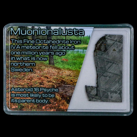 1.7" Muonionalusta Meteorite Specimen Sweden Meteorites Display 10.74 Grams - Fossil Age Minerals