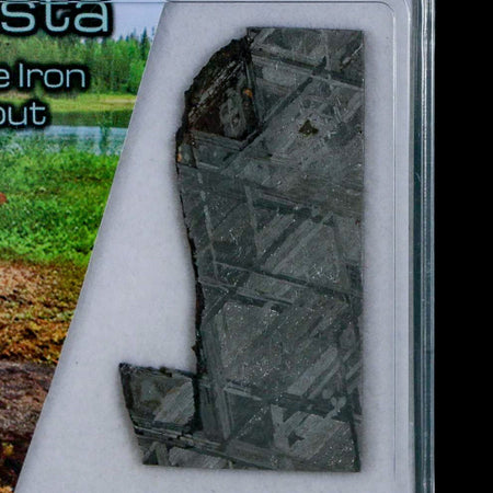 1.7" Muonionalusta Meteorite Specimen Sweden Meteorites Display 10.74 Grams