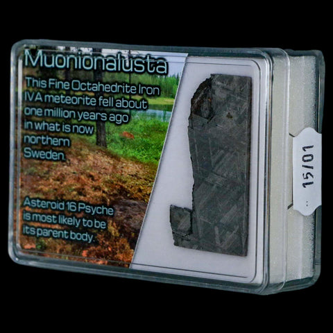 1.7" Muonionalusta Meteorite Specimen Sweden Meteorites Display 10.74 Grams - Fossil Age Minerals