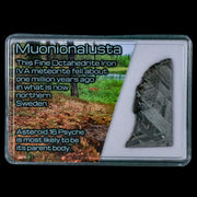 1.6" Muonionalusta Meteorite Specimen Sweden Meteorites Display 9.29 Grams