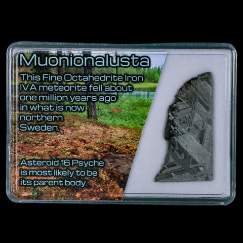 1.6" Muonionalusta Meteorite Specimen Sweden Meteorites Display 9.29 Grams - Fossil Age Minerals