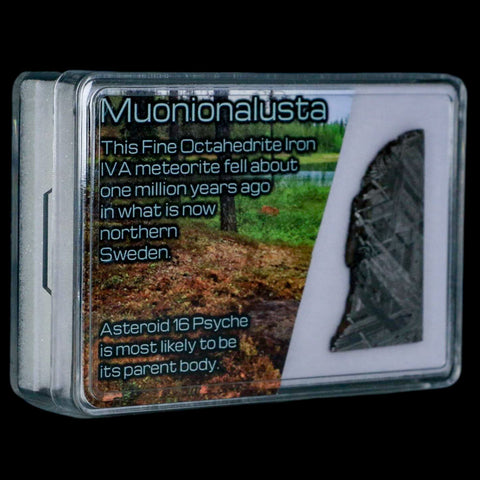 1.6" Muonionalusta Meteorite Specimen Sweden Meteorites Display 9.29 Grams - Fossil Age Minerals