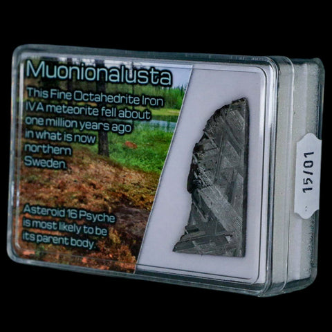 1.6" Muonionalusta Meteorite Specimen Sweden Meteorites Display 9.29 Grams - Fossil Age Minerals