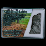 1.5" Muonionalusta Meteorite Specimen Sweden Meteorites Display 9.65 Grams