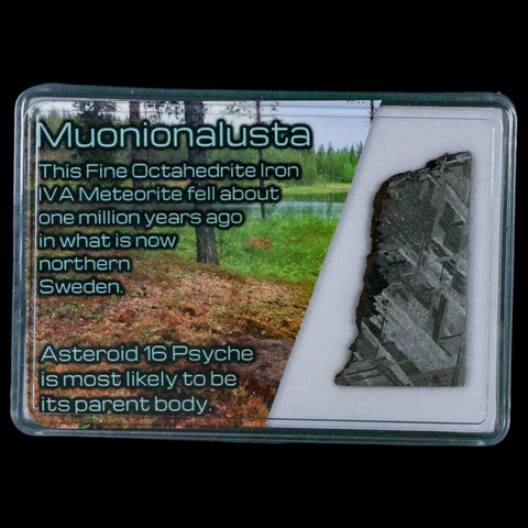 1.5" Muonionalusta Meteorite Specimen Sweden Meteorites Display 9.65 Grams - Fossil Age Minerals