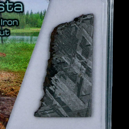 1.5" Muonionalusta Meteorite Specimen Sweden Meteorites Display 9.65 Grams