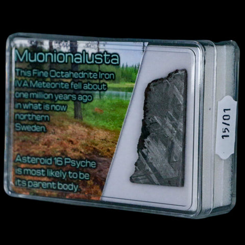 1.5" Muonionalusta Meteorite Specimen Sweden Meteorites Display 9.65 Grams - Fossil Age Minerals