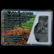 1.7" Muonionalusta Meteorite Specimen Sweden Meteorites Display 11.87 Grams