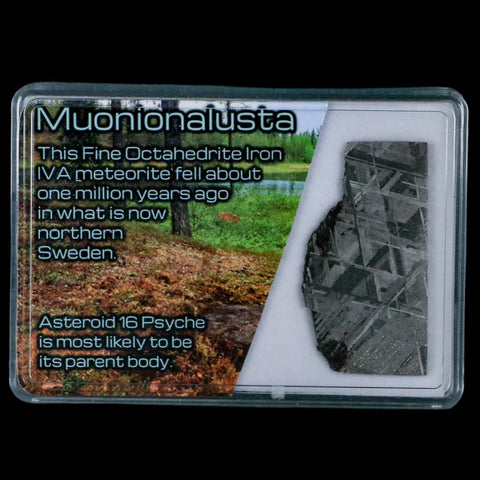 1.7" Muonionalusta Meteorite Specimen Sweden Meteorites Display 11.87 Grams - Fossil Age Minerals