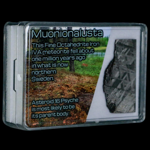 1.7" Muonionalusta Meteorite Specimen Sweden Meteorites Display 11.87 Grams - Fossil Age Minerals