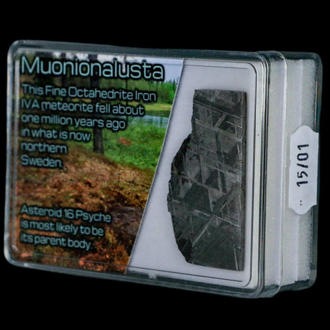 1.7" Muonionalusta Meteorite Specimen Sweden Meteorites Display 11.87 Grams - Fossil Age Minerals