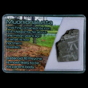 1.3" Muonionalusta Meteorite Specimen Sweden Meteorites Display 11.82 Grams