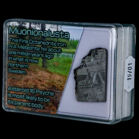 1.3" Muonionalusta Meteorite Specimen Sweden Meteorites Display 11.82 Grams - Fossil Age Minerals