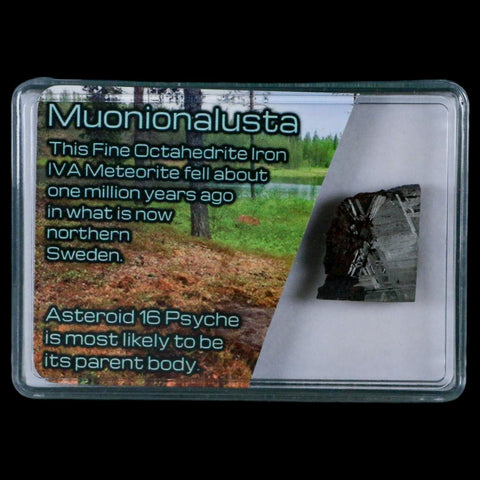 0.8" Muonionalusta Meteorite Specimen Sweden Meteorites Display 10.83 Grams - Fossil Age Minerals