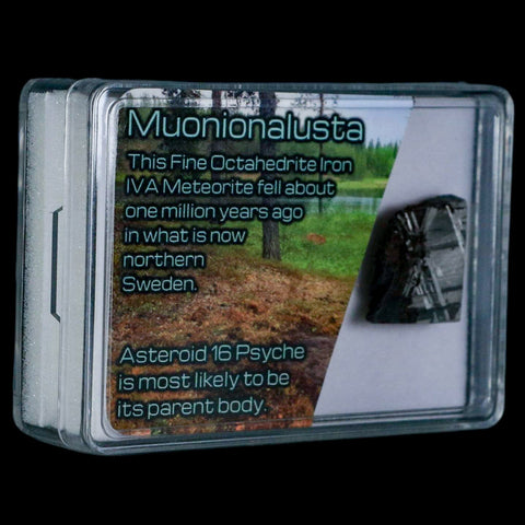 0.8" Muonionalusta Meteorite Specimen Sweden Meteorites Display 10.83 Grams - Fossil Age Minerals