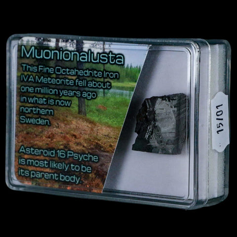 0.8" Muonionalusta Meteorite Specimen Sweden Meteorites Display 10.83 Grams - Fossil Age Minerals