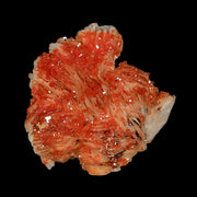 2.2" Sparkly Orange Vanadinite Crystals White Barite Blades Mineral Mabladen Morocco