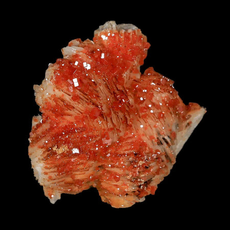 2.2" Sparkly Orange Vanadinite Crystals White Barite Blades Mineral Mabladen Morocco