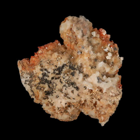 2.2" Sparkly Orange Vanadinite Crystals White Barite Blades Mineral Mabladen Morocco - Fossil Age Minerals