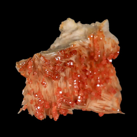 2" Sparkly Orange Vanadinite Crystals White Barite Blades Mineral Mabladen Morocco