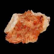 3.1" Sparkly Orange Vanadinite Crystals White Barite Blades Mineral Mabladen Morocco