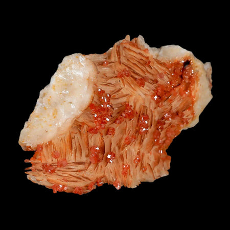 3.1" Sparkly Orange Vanadinite Crystals White Barite Blades Mineral Mabladen Morocco