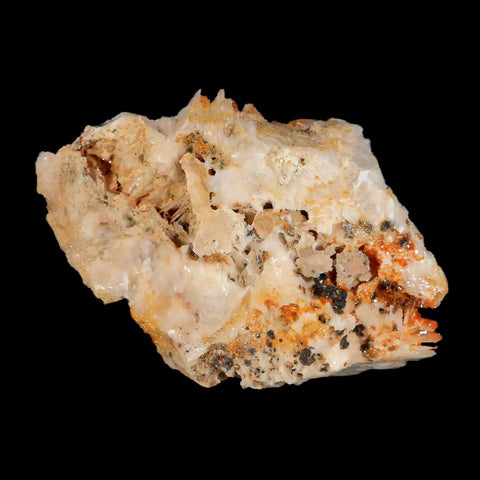 3.1" Sparkly Orange Vanadinite Crystals White Barite Blades Mineral Mabladen Morocco - Fossil Age Minerals