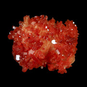 1.3" Sparkly Red  Vanadinite Crystals White Barite Blades Mineral Mabladen Morocco