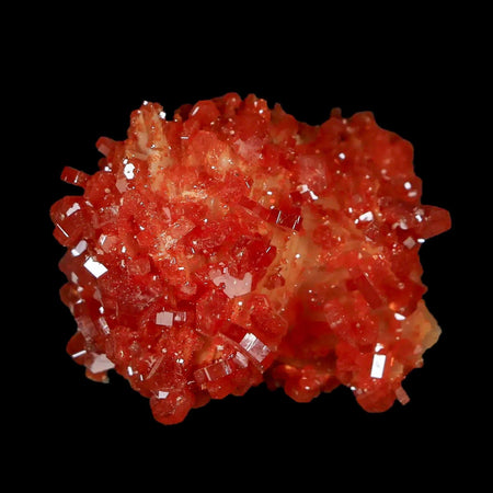 1.3" Sparkly Red  Vanadinite Crystals White Barite Blades Mineral Mabladen Morocco