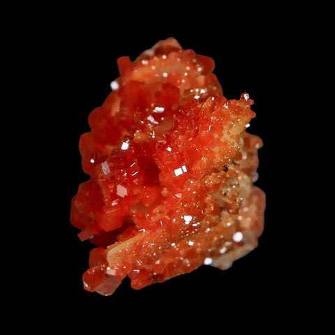 1.3" Sparkly Red Vanadinite Crystals White Barite Blades Mineral Mabladen Morocco - Fossil Age Minerals