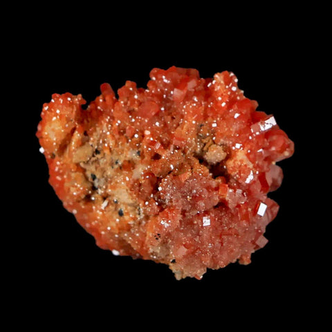 1.3" Sparkly Red Vanadinite Crystals White Barite Blades Mineral Mabladen Morocco - Fossil Age Minerals