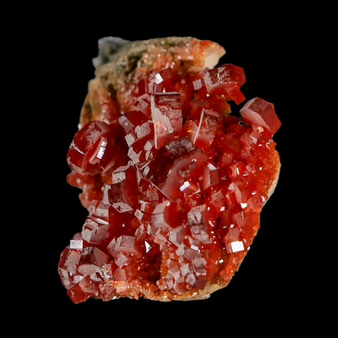 1.4" Sparkly Red Vanadinite Crystals White Barite Blades Mineral Mabladen Morocco - Fossil Age Minerals