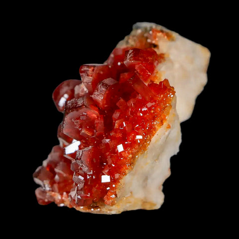 1.4" Sparkly Red Vanadinite Crystals White Barite Blades Mineral Mabladen Morocco - Fossil Age Minerals