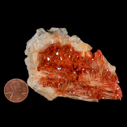 3.3" Sparkly Orange Vanadinite Crystals White Barite Blades Mineral Mabladen Morocco - Fossil Age Minerals