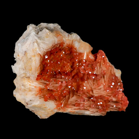 3.3" Sparkly Orange Vanadinite Crystals White Barite Blades Mineral Mabladen Morocco - Fossil Age Minerals