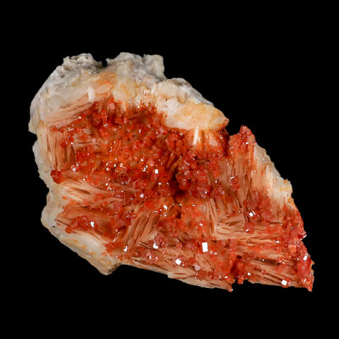 3.3" Sparkly Orange Vanadinite Crystals White Barite Blades Mineral Mabladen Morocco - Fossil Age Minerals